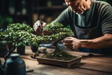 Hands pruning a bonsai tree on a work table. Gardening concept