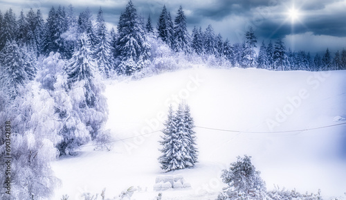 A beautiful winter landscape with snow covered trees