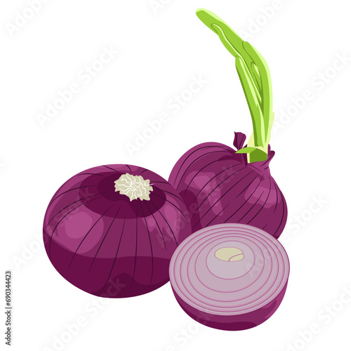 Whole and half red onions isolated on white background. Vector cartoon illustration