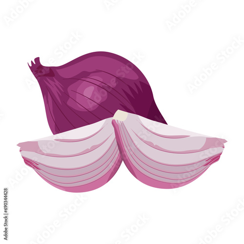 Whole and half red onions isolated on white background. Vector cartoon illustration