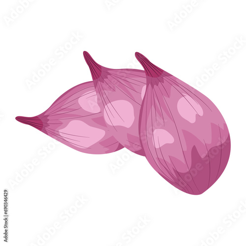 Three red onions isolated on white background Vector cartoon illustration