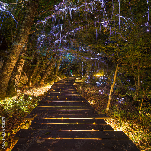 Fairy-tale beautiful park with wooden path and forest trees decorated with magical lamps and garlands. Square outside natural landscape. Lightland, Montenegro photo