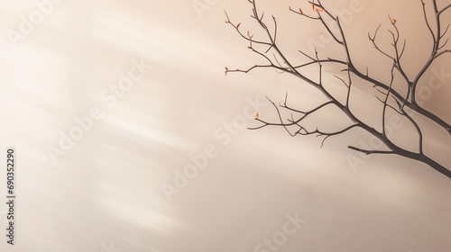 Serenely Minimalistic Abstract Light Background - Professional Design for Tranquil and Elegant Atmosphere  Ideal for Contemporary Artistic Projects and Modern Aesthetics.