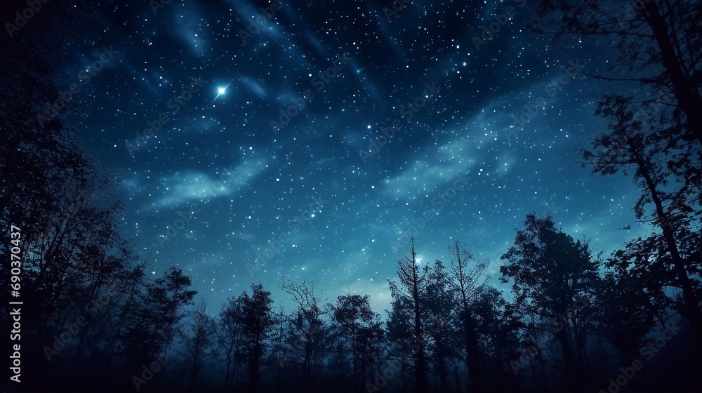 Night sky with stars and silhouette of trees in forest.