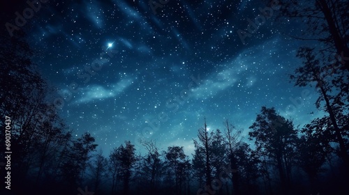 Night sky with stars and silhouette of trees in forest. © Oleh