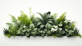 green plant arrangement on white background