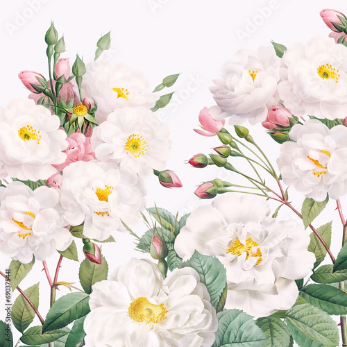 Rose Flowers  Digital floral watercolor on a smooth white background.