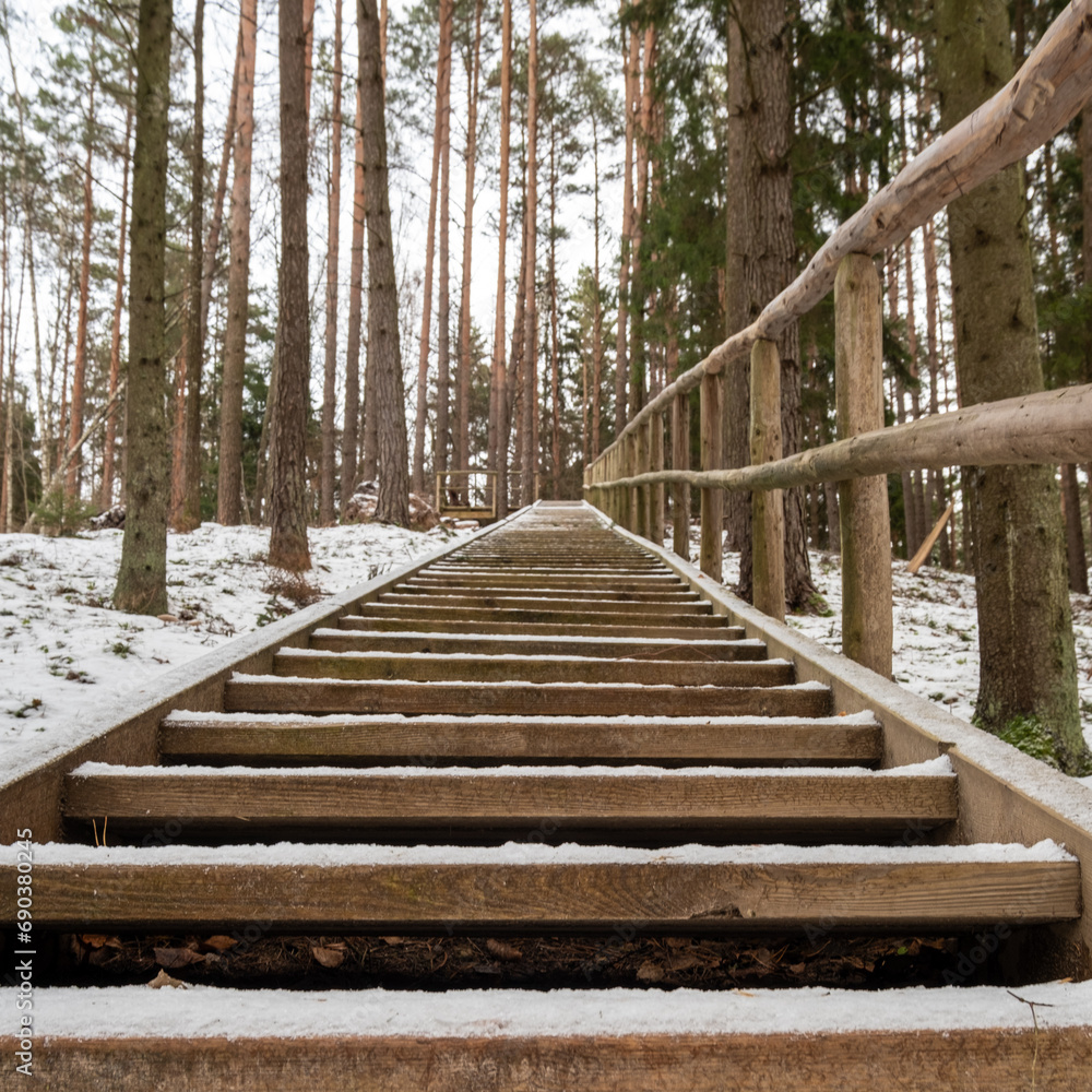 Winter Ascent: Wooden Pathways Through Tervetes' Snow-Clad Woods