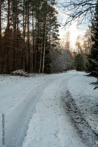 Tracing Trails: Tire Marks on Snowy Forest Roads Amidst Wintry Splendor. Pokainu Mezs, Latvija