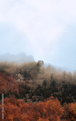 Foggy Mountain Landscape  (ID: 690388006)