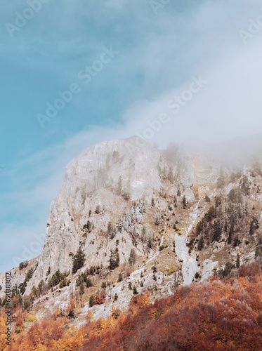 Foggy Mountain Landscape  (ID: 690388012)