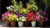 Summer flower container display in patio container gardening ideas