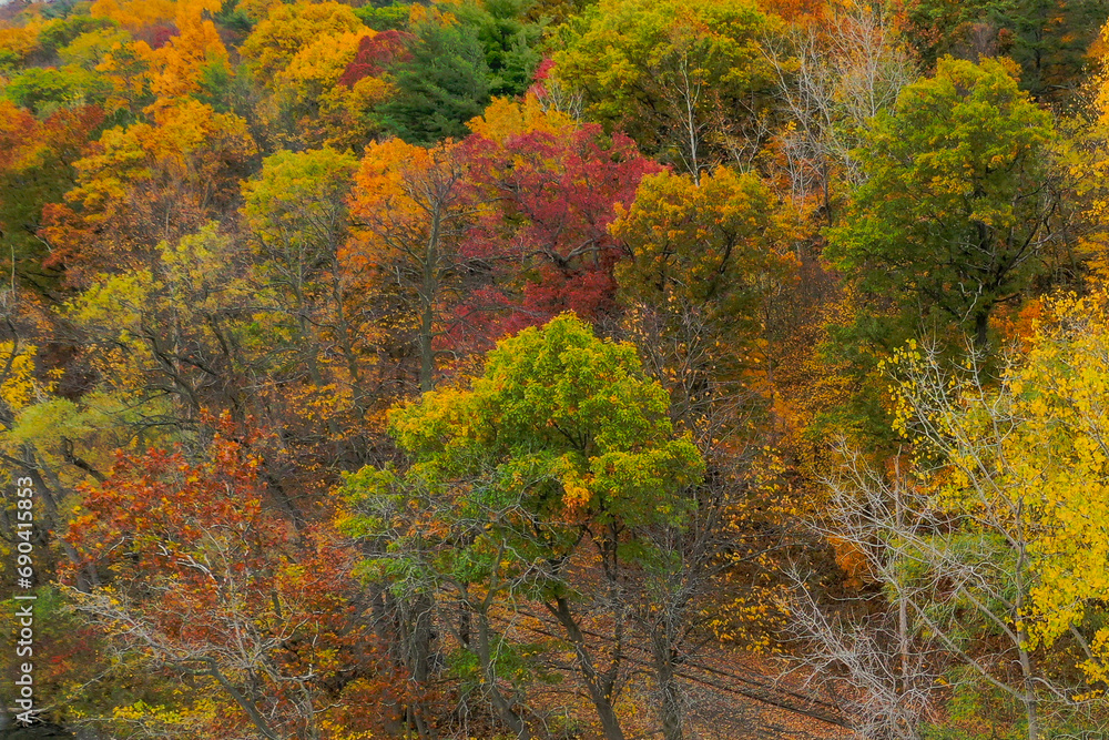 Closeup aerial image of colorful fall foliage looking down