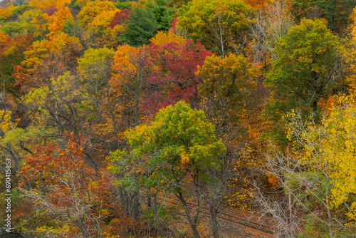 Closeup aerial image of colorful fall foliage looking down