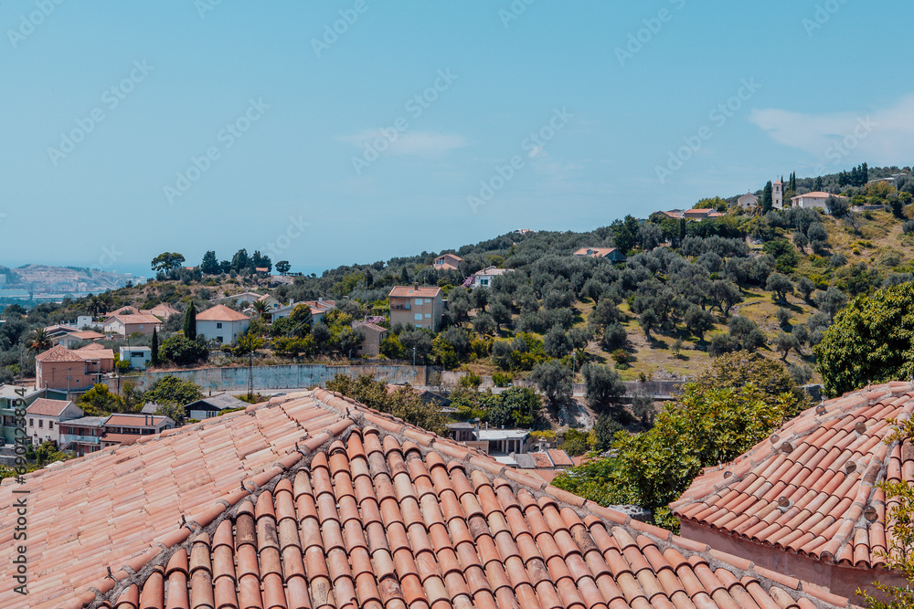 Tiled roofs with the groves of olive trees background with blue sky on the sunny day for publication, poster, calendar, post, screensaver, wallpaper, banner, cover. High quality photo