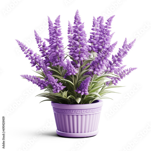 Lavender plant with flowers in a pot isolated on transparent background. Generative AI