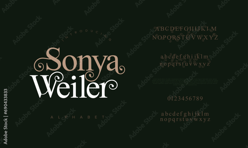 Sonyaweiler premium luxury elegant alphabet letters and numbers. Elegant wedding typography classic serif font decorative vintage retro. Creative vector illustration