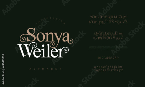 Sonyaweiler premium luxury elegant alphabet letters and numbers. Elegant wedding typography classic serif font decorative vintage retro. Creative vector illustration