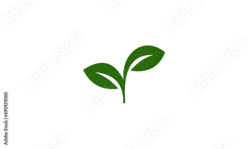 green sprout