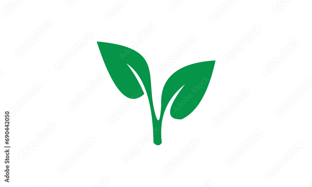 green plant isolated on white green plant isolated on white