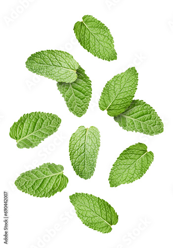 Fresh mint leaves falling on white background photo