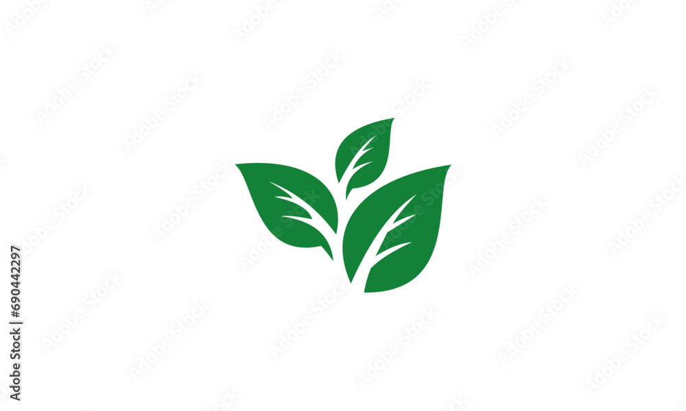 plant isolated on white plant isolated on white