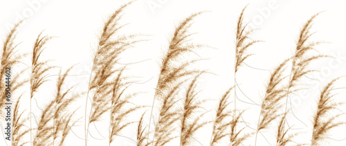 Light luxury art background with golden grass in the form of lines. Botanical banner for wallpaper, packaging, decor, print, textile, interior design.
