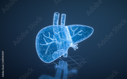 Liver organ with health care concept, 3d rendering. photo