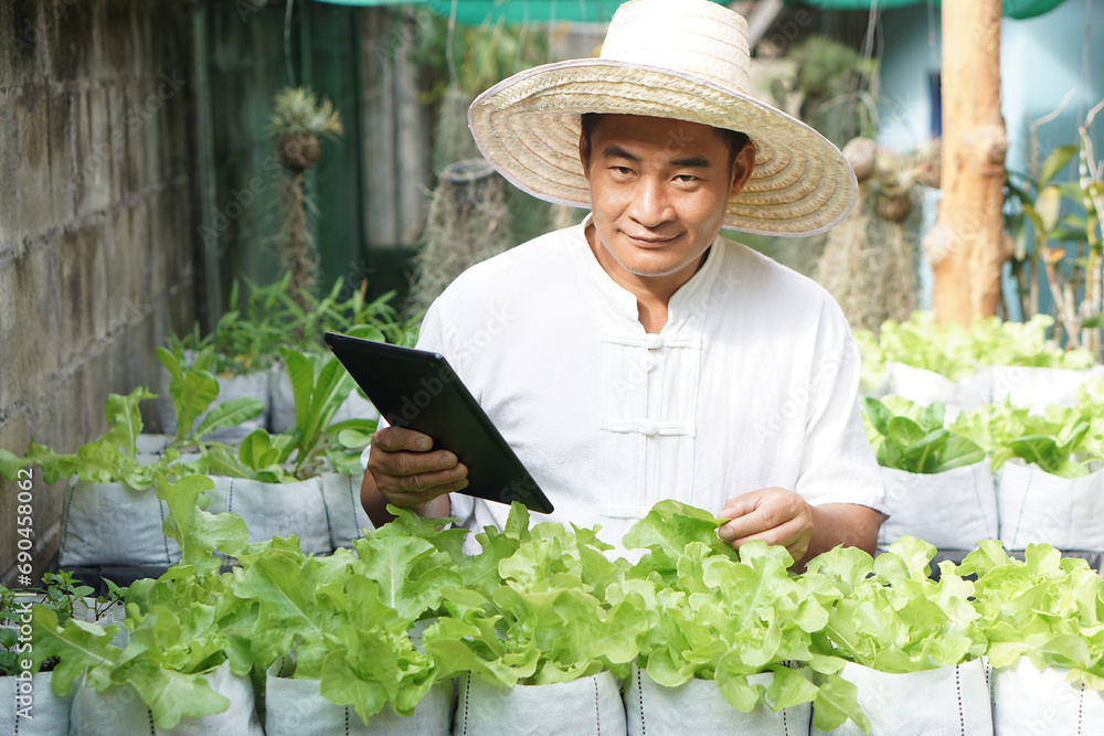 Asian man gardener is checking and inspecting quality, growth and plant diseases of organic salad vegetables by using smart tablet. Concept, Agriculture research. Learn from internet to develop crops.