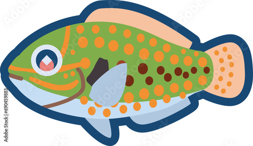 かわいいキュウセン（オス）のイラスト