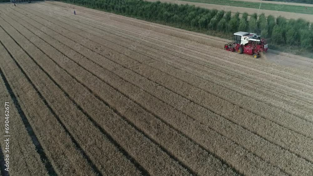 The harvester harvests wheat in the wheat field in the farm, North China The harvester harvests wheat in the wheat field in the farm, North China