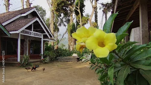 The atmosphere in a village is cool and peaceful