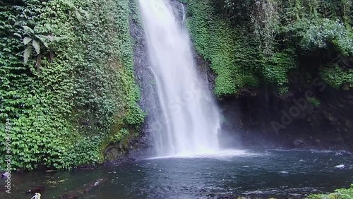 Natural waterfall with clear water and lush wild plants around it