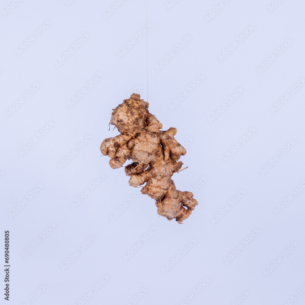 Ginger roots isolateed background perfect Ginger roots isolateed background perfect