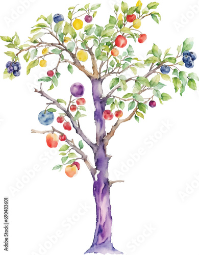Watercolor fruits tree vector illustrations 