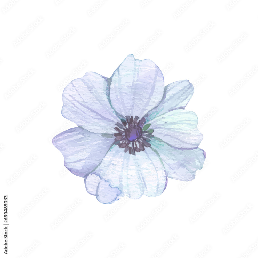 Obraz premium Vector watercolor blue flower illustration blue linen flower forgermenot flower