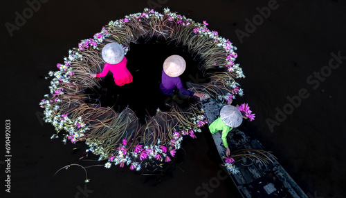 Rural women in Moc Hoa district, Long An province are harvesting water lilies on lagoon photo