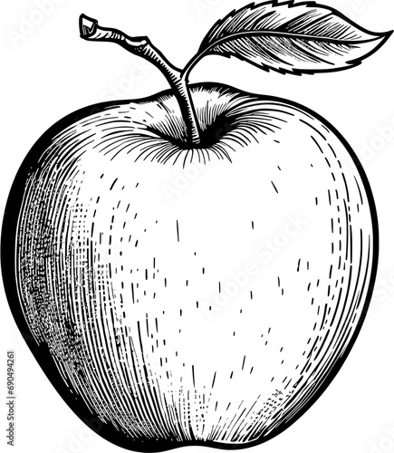 Fruit Sketch Apple Vintage Outline Icon In Hand-drawn Style