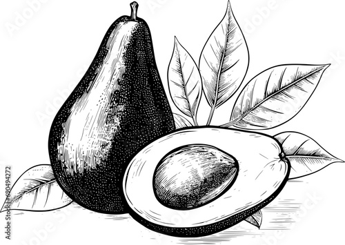 Fruit Sketch Avocado Vintage Outline Icon In Hand-drawn Style