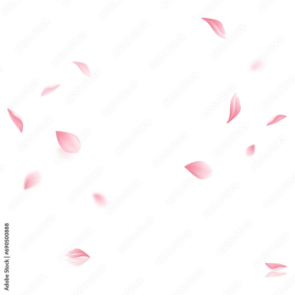 Vector sakura flying petals on transparent background