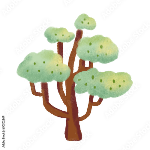 tree element  look  fresh green