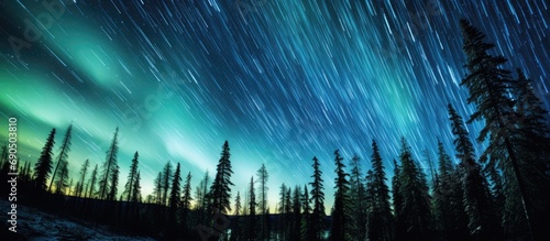 Astrophotography captures star trails around Polaris and the mesmerizing Aurora borealis over Yukon's taiga forest. photo