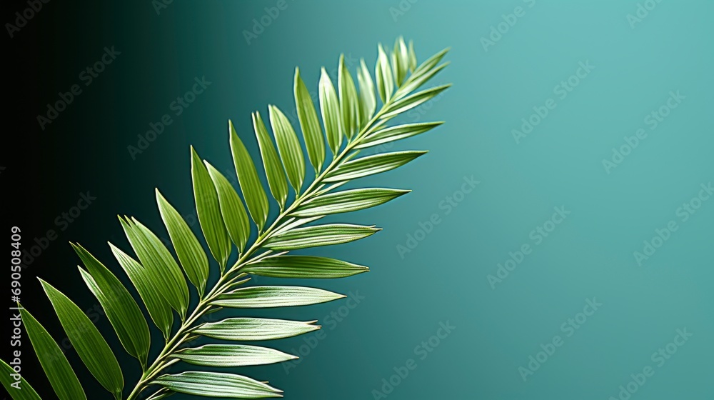 Obraz premium Luxury Leaf Shadow Leaves Blank Green, Flat Design Style, Pop Art , Wallpaper Pictures, Background Hd