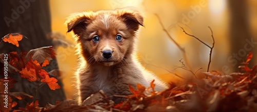 enchanting landscape of Europes autumn forests, a cute red puppy, with the most endearing eyes, poses for a portrait as a beloved pet among the majestic animals of nature, embracing the essence of photo