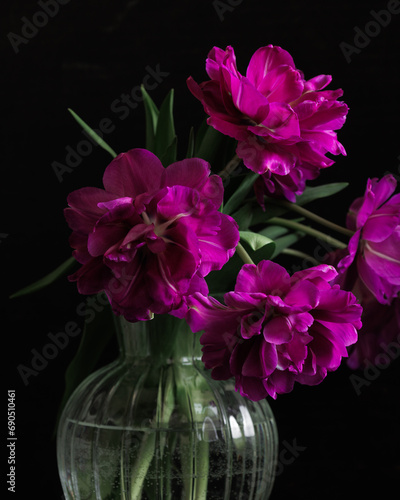 Wallpaper Mural bouquet of dark red lilac tulips in glass vase on dark background. flower bouquet in vase on table. Gift interior decoration. florist, decorator. Flower shop. Torontodigital.ca