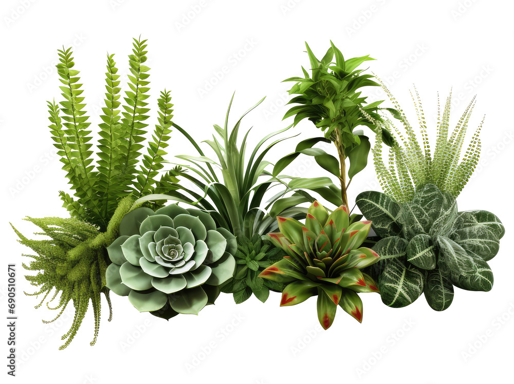 plants on the ground in the image variety isolated on transparent background plants on the ground in the image variety isolated on transparent background