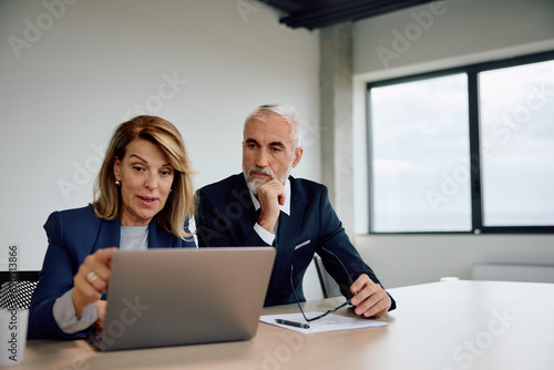 Female CEO and her coworker using laptop while working in office.