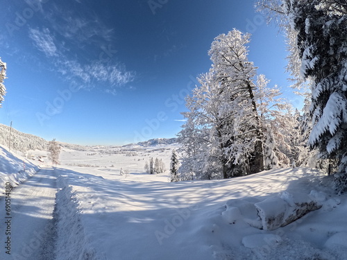 Winter wonderland snow covered environment  © VJH Photography