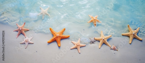 Multiple starfish on sandy ocean bottom photo