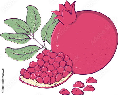 Color ripe pomegranate whole, seeds garnet. Still life of tropical fruits close up. Vector illustration in cartoon style isolated on white. Natural and healthy food